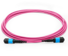 MTP Patch Cable