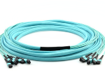MTP Trunk Cable