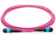 MTP / MPO Cable Assemblies