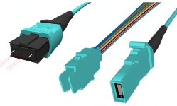 MTP / MPO Cable Assemblies